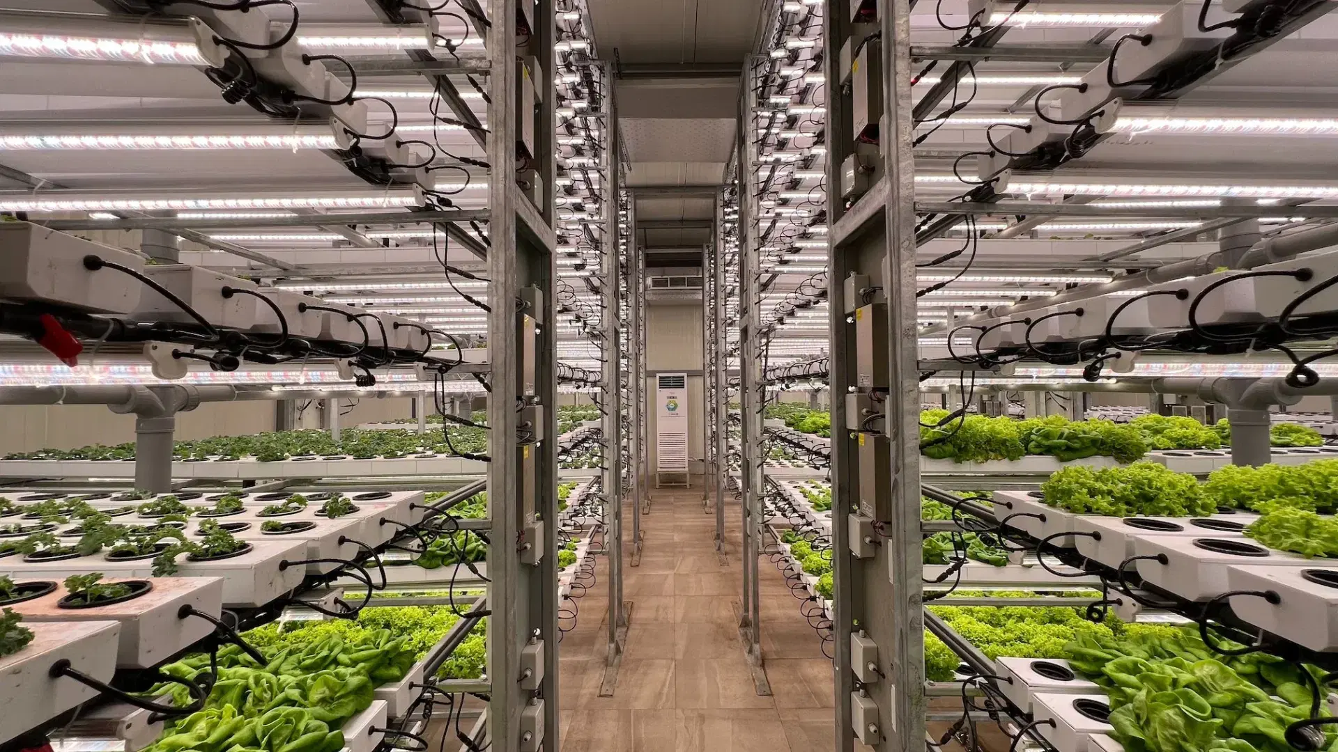 supply chain solutions for Agriculture