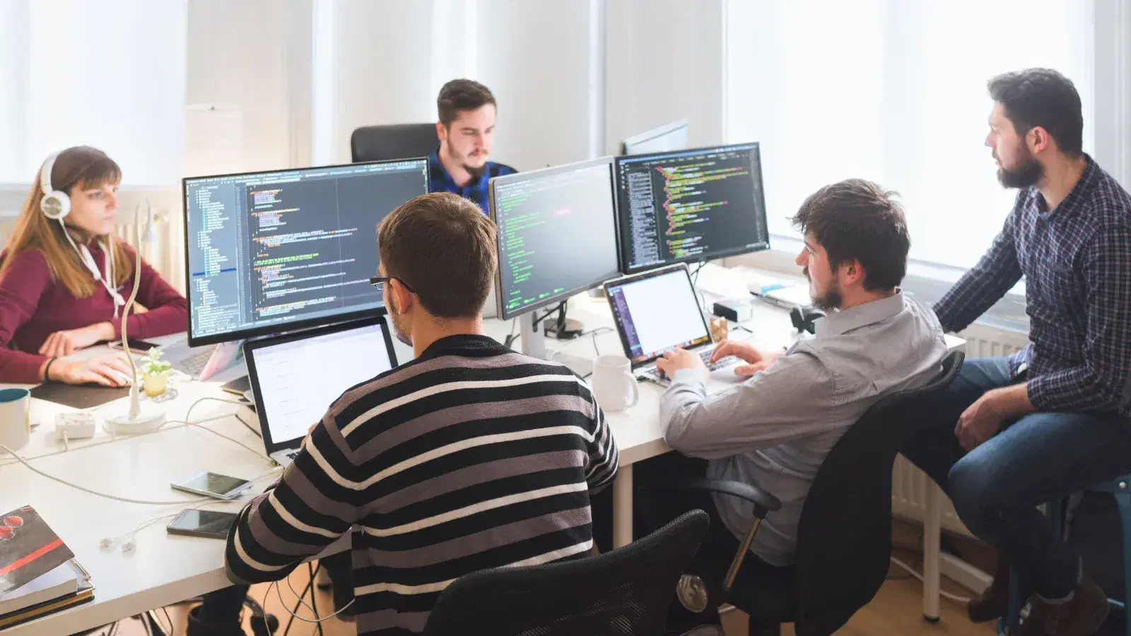 Software Development